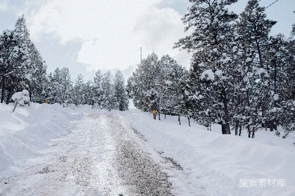 高清摄影 雪后的静谧小路