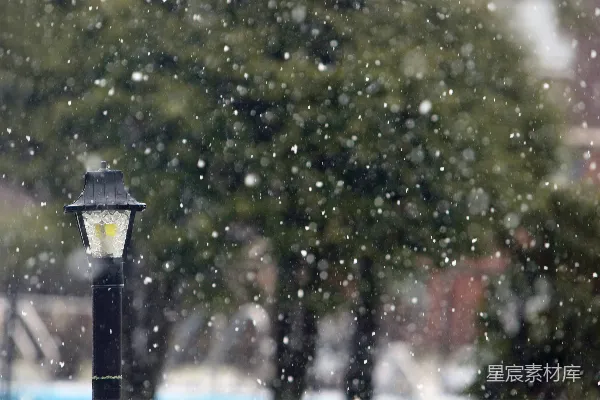 高清摄影 雨中街灯