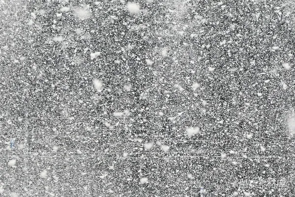 高清摄影 飘雪中的汽车