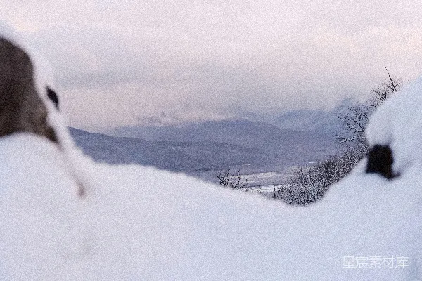 高清摄影 雪中风景