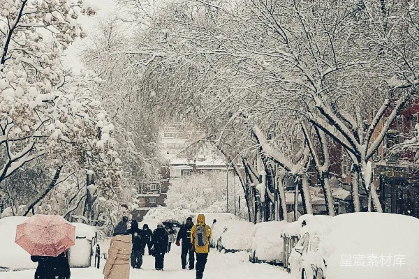 高清摄影 雪中漫步