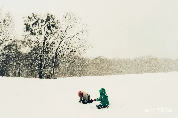 高清摄影 雪地里的冬日温馨