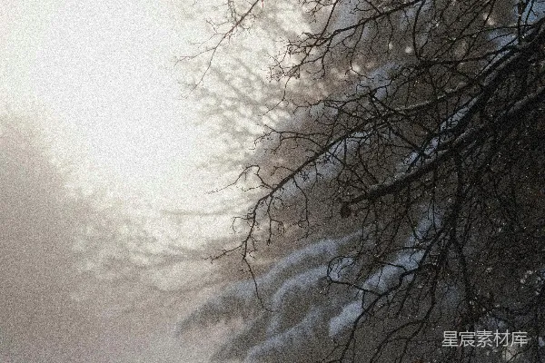 高清摄影 冬日树影与云层