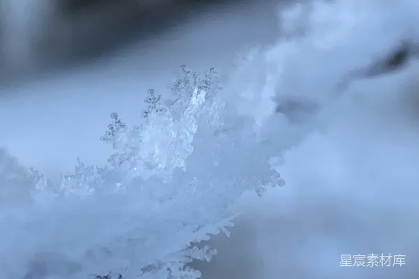 高清摄影 雪花之美