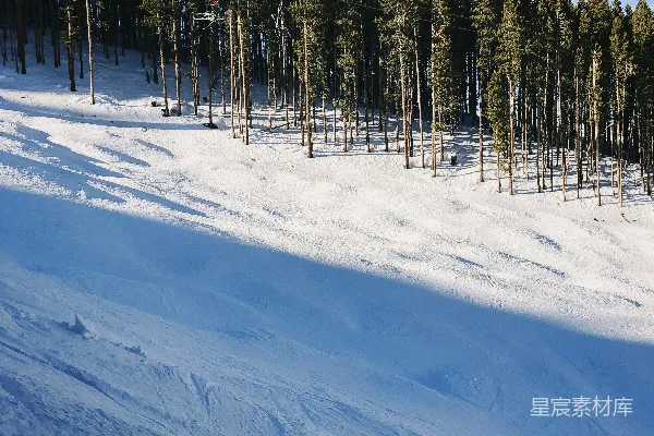 高清摄影 雪场缆车与松树林