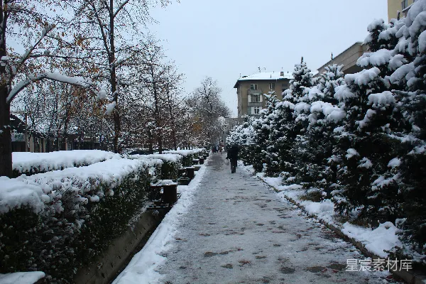 高清摄影 冬日雪景中的城市小径