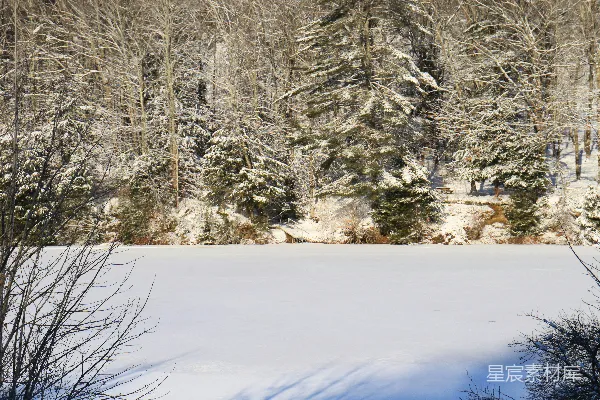 高清摄影 冬日湖畔雪景