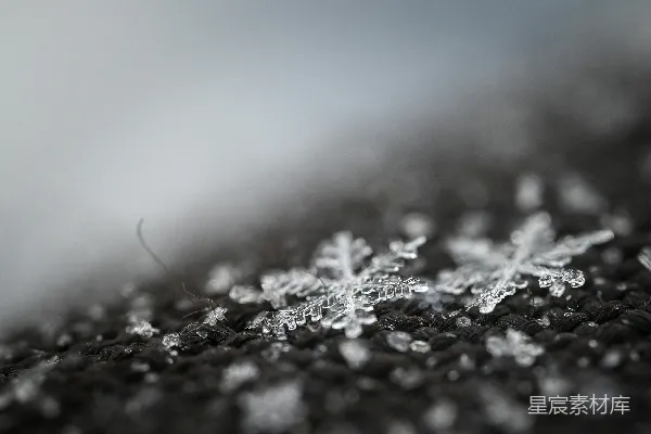 高清摄影 冰晶雪花的特写