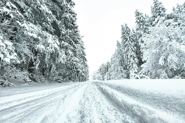 高清摄影 冬日雪景中的森林小径