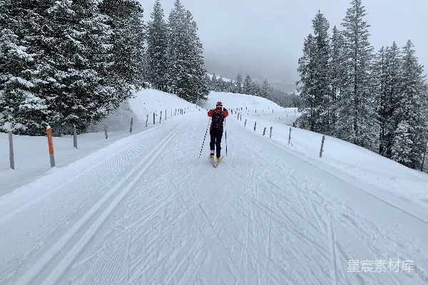 高清摄影 冬日滑雪道上的孤独身影