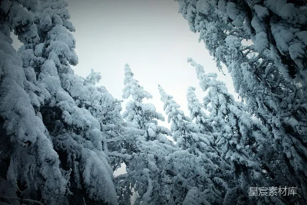 高清摄影 冬日雪景