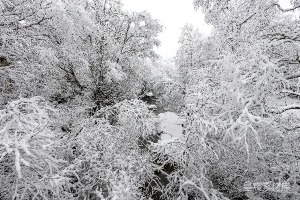 高清摄影 冬日雪景中的小溪