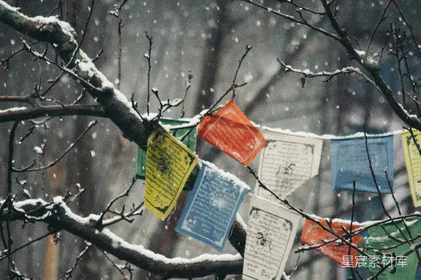 高清摄影 雪中的祈愿旗