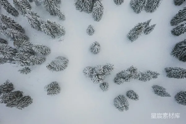 高清摄影 雪域松林俯瞰图
