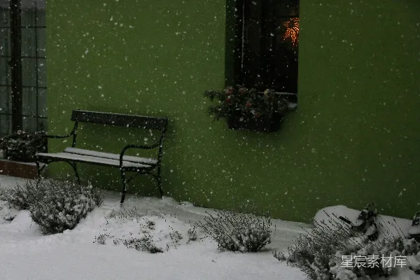 高清摄影 冬日绿墙下的雪景