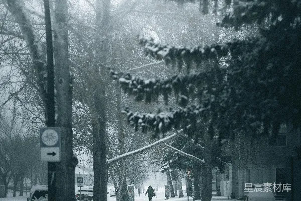 高清摄影 冬日雪景中的静谧街道