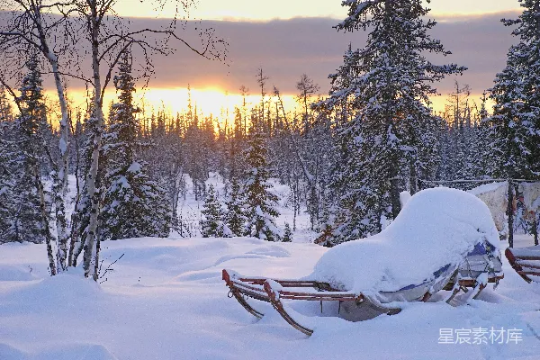 高清摄影 冬日雪景中的雪橇与夕阳