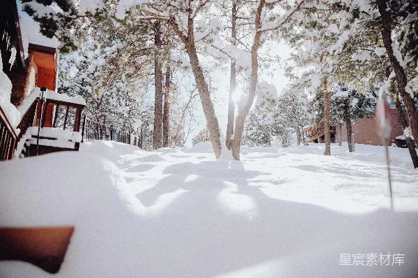 高清摄影 雪后的宁静森林