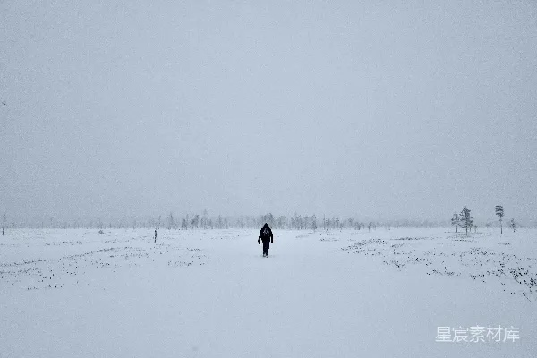 高清摄影 雪地独行