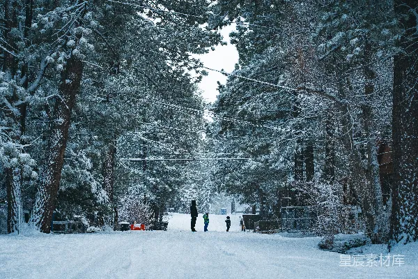 高清摄影 雪后宁静的林间小路