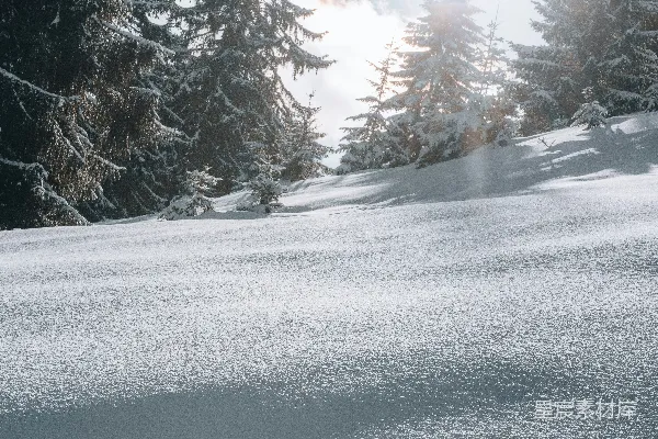 高清摄影 冬日雪景