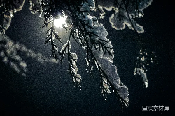 高清摄影 冬夜的银装素裹