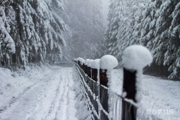高清摄影 雪覆木栅栏
