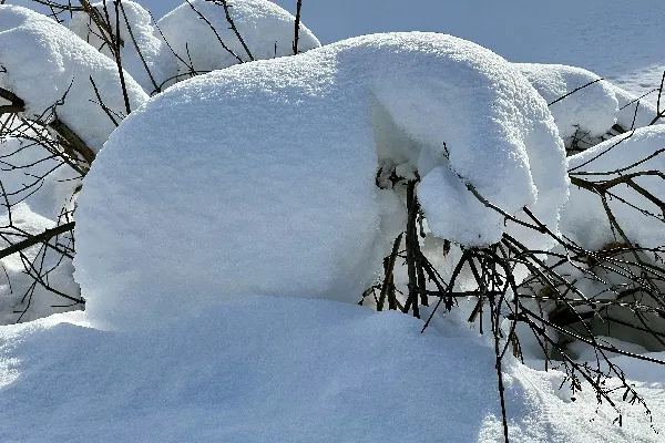 高清摄影 冬日雪堆