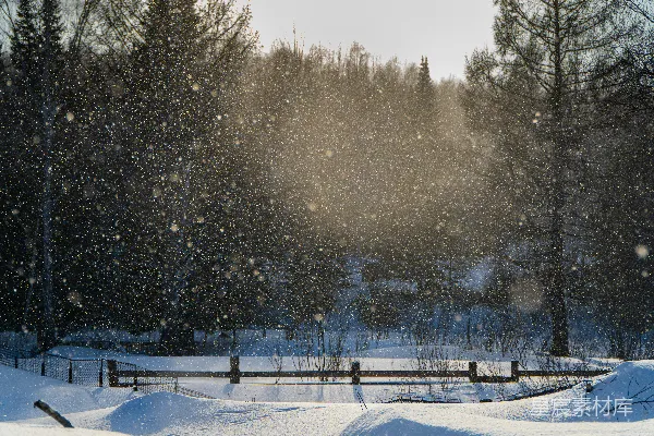 高清摄影 冬日森林雪景