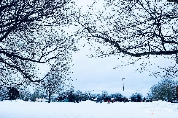 高清摄影 冬日雪景下的宁静小镇