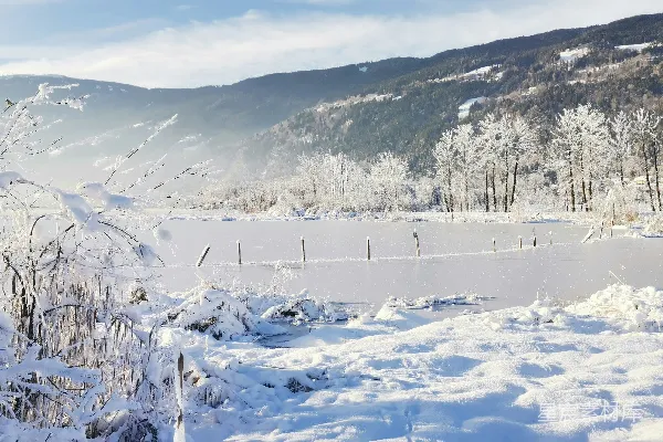 高清摄影 冬日雪景中的宁静湖畔
