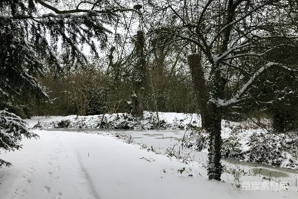 高清摄影 冬日雪景中的宁静小河