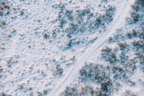 高清摄影 雪地中的足迹