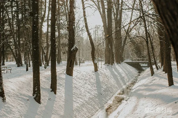 高清摄影 冬日雪景中的小溪