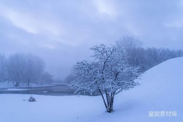 高清摄影 冬日静谧雪景