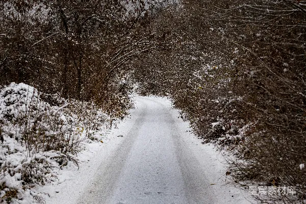 高清摄影 冬日雪景中的小路