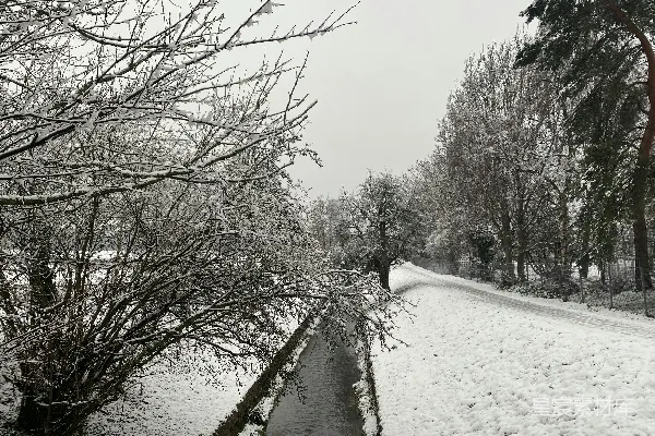 高清摄影 冬日雪景中的小溪
