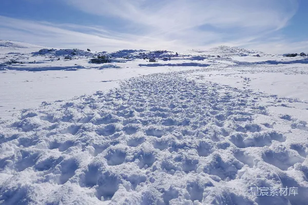 高清摄影 雪地上的动物足迹