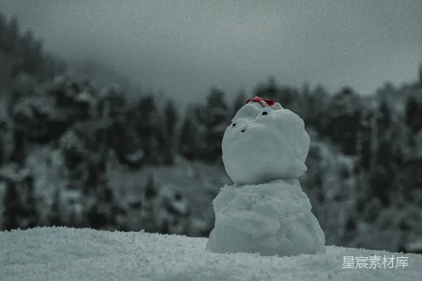 高清摄影 雪地里的小雪人
