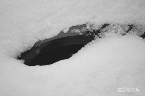 高清摄影 雪中的暗影