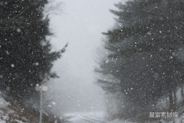 高清摄影 雪中森林的铁路