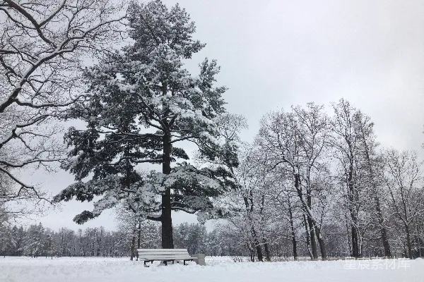 高清摄影 冬日雪景中的静谧长椅