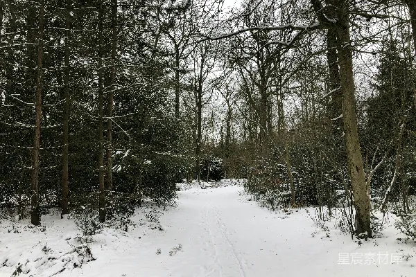 高清摄影 冬日雪地小径