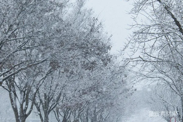 高清摄影 雪中的街道
