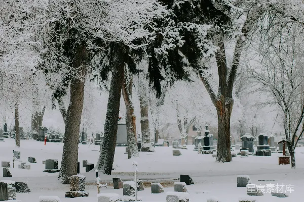 高清摄影 雪中的墓地