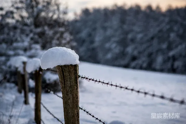 高清摄影 冬日雪景中的木桩
