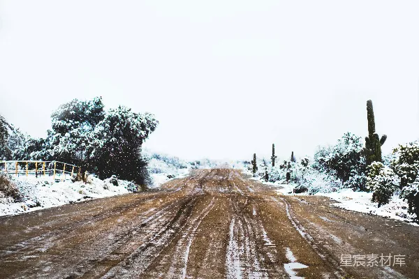 高清摄影 雪中的荒野之路