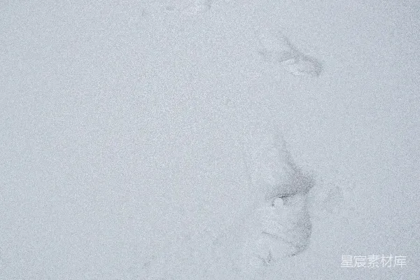 高清摄影 雪地中的足迹