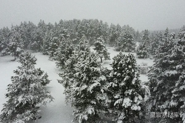 高清摄影 冬日雪景