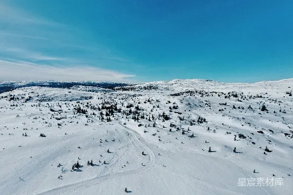 高清摄影 雪原上的宁静冬季景色